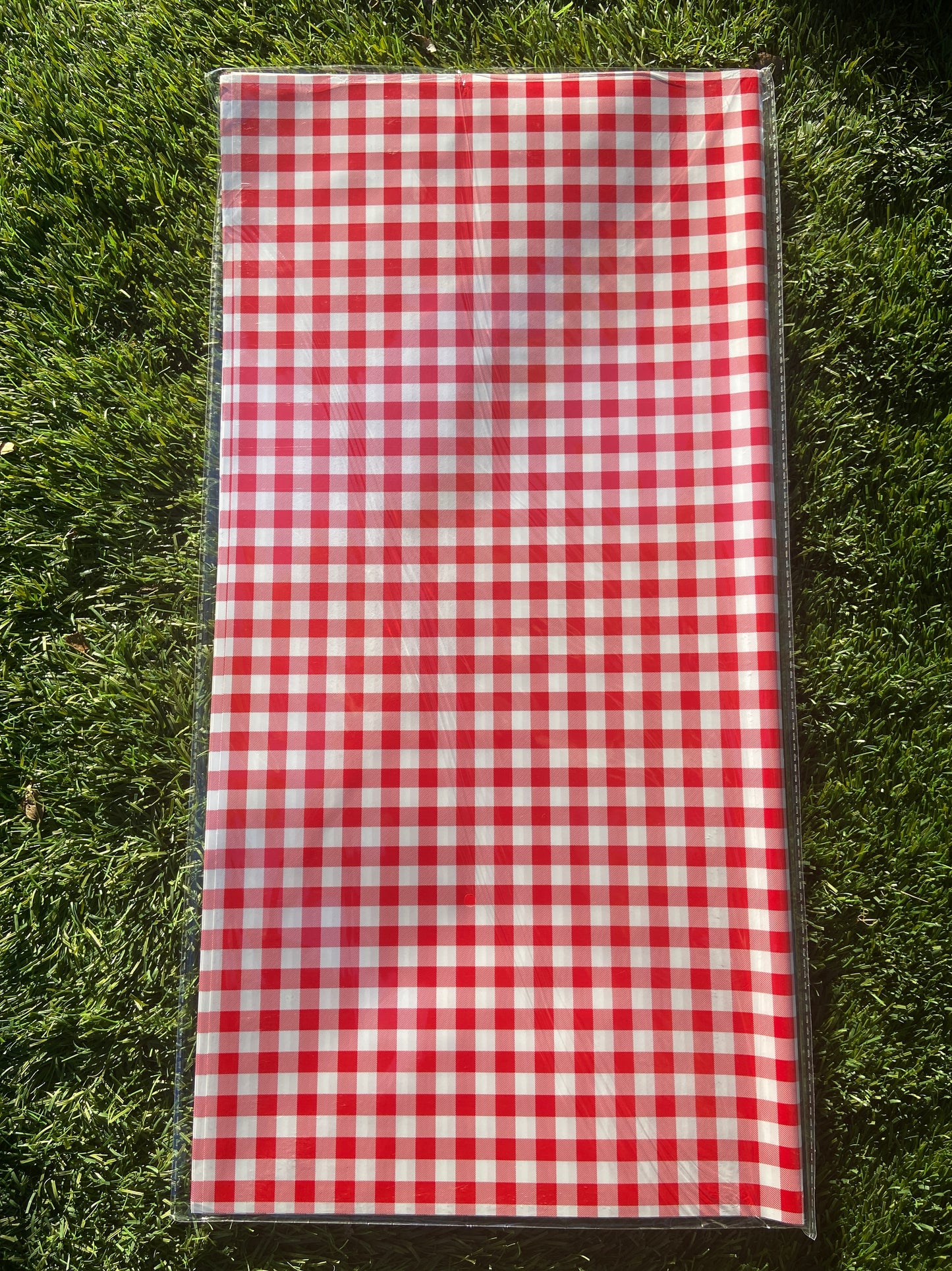 Red Picnic Paper