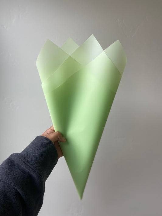 Light Green Transparent