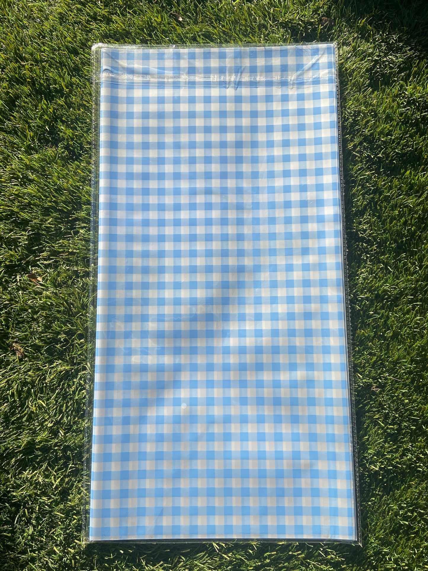 Blue Picnic Paper